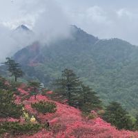 評論圖片 5