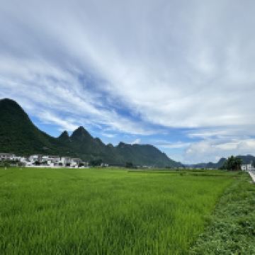 評論圖片 6