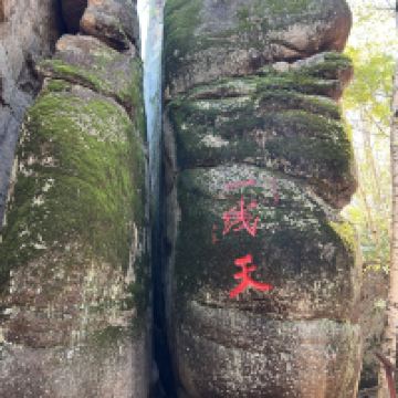 評論圖片 6