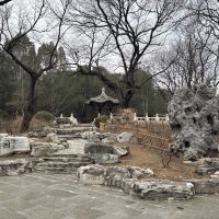 評論圖片 4