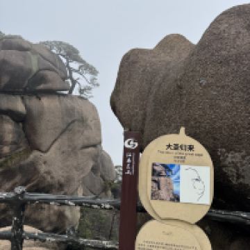 評論圖片 9