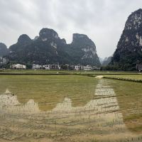 評論圖片 8