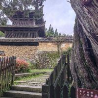評論圖片 5
