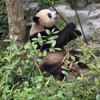 評論圖片 5