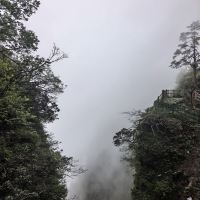 評論圖片 7