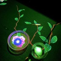 評論圖片 6