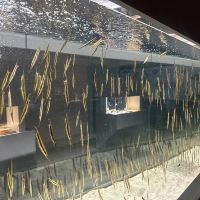 評論圖片 4