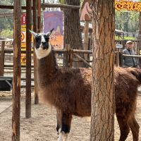 評論圖片 4