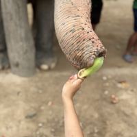 評論圖片 3