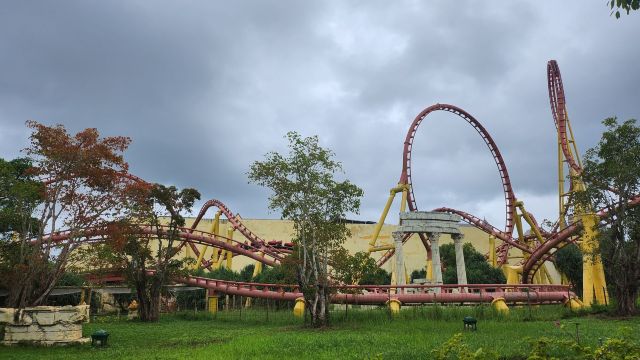 review picture