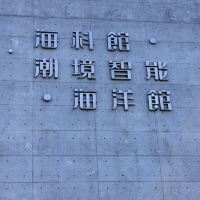 評論圖片 4