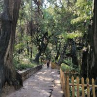 評論圖片 5