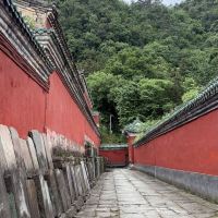 評論圖片 8