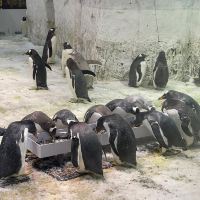 評論圖片 1