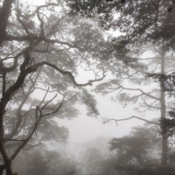評論圖片 4