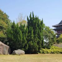 評論圖片 7