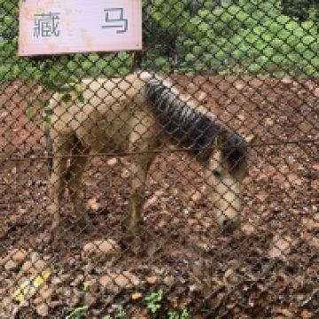 評論圖片 6
