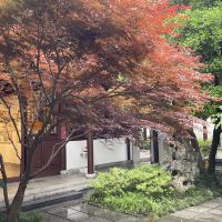 評論圖片 1
