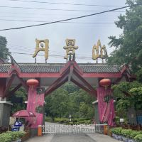 評論圖片 6