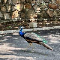 評論圖片 1