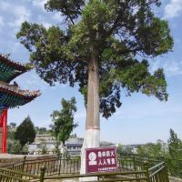 評論圖片 7