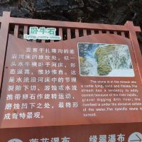 評論圖片 2