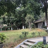 評論圖片 8