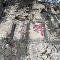 評論圖片 4