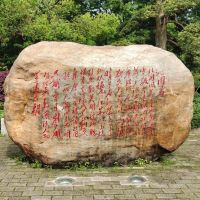 評論圖片 7
