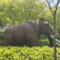 評論圖片 1