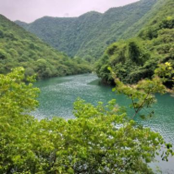 評論圖片 1