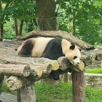 評論圖片 4