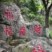 評論圖片 3