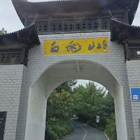 評論圖片 1