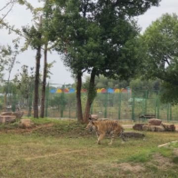評論圖片 2