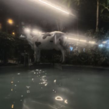 評論圖片 8
