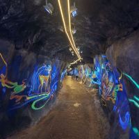 評論圖片 8