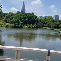 評論圖片 1
