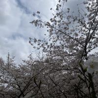 評論圖片 2