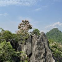 評論圖片 1