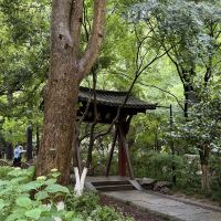 評論圖片 1