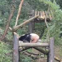 評論圖片 1
