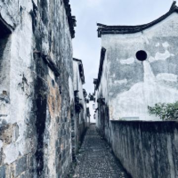 評論圖片 3
