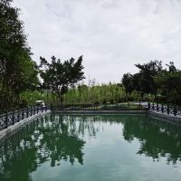 評論圖片 4