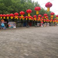 評論圖片 8