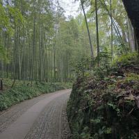 評論圖片 2