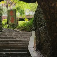 評論圖片 7