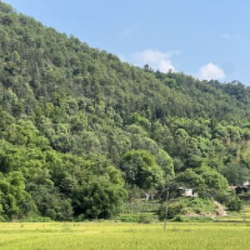 評論圖片 9