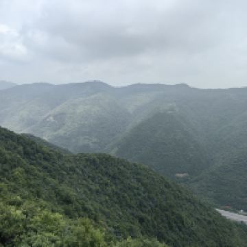 評論圖片 2