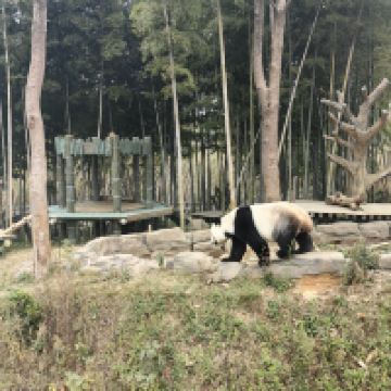 評論圖片 8